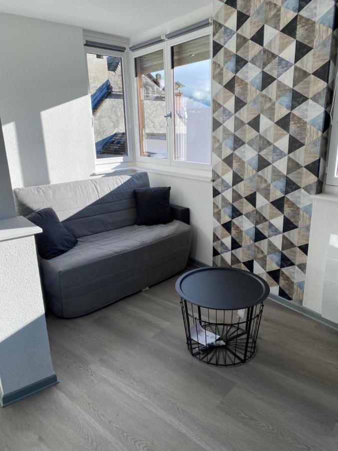 Residence Avec Un T3 Un T2 Et Un Studio En Centre Ville D Argelès-Gazost Exterior foto